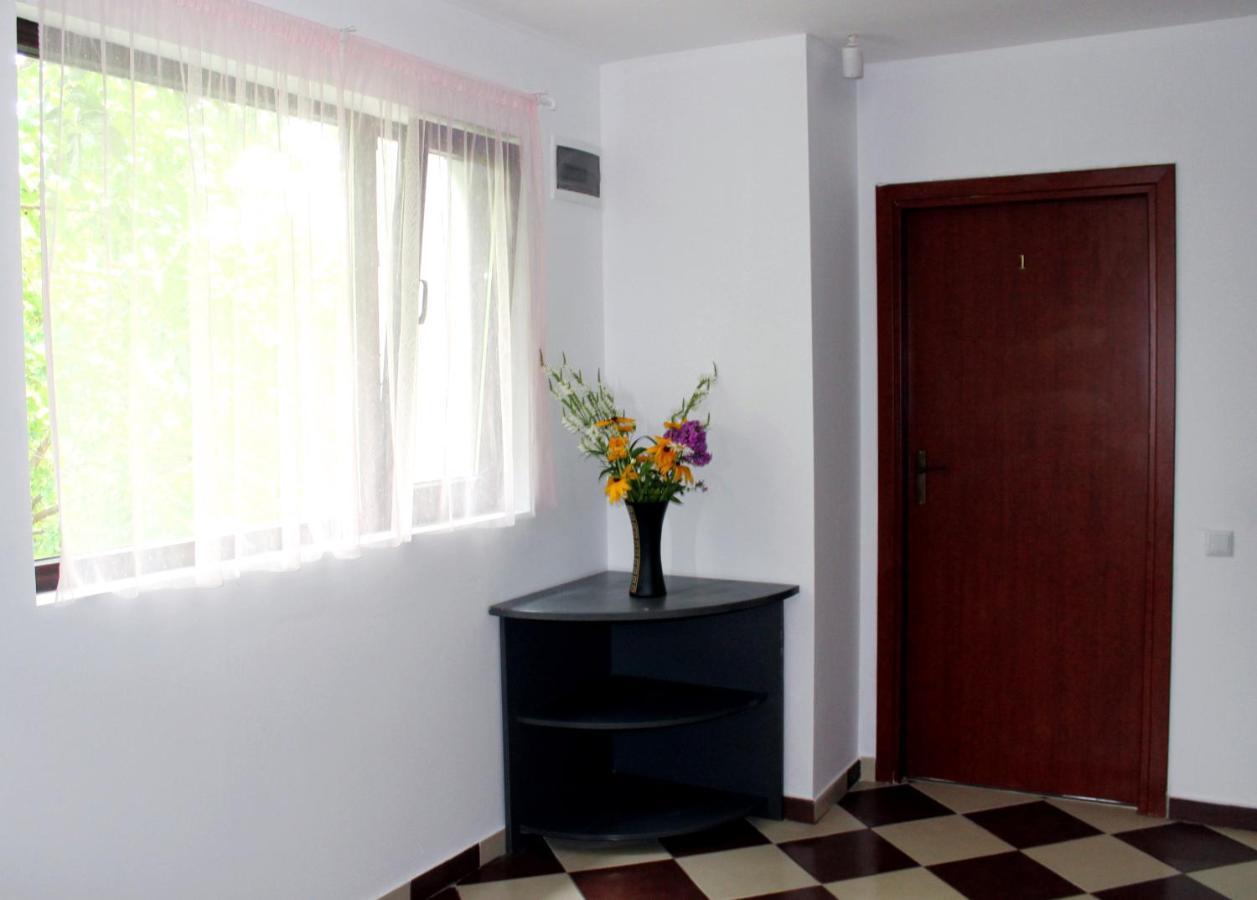 Anuta Hotel Breaza  Ngoại thất bức ảnh
